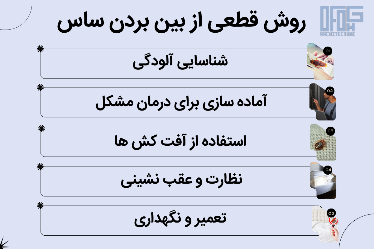 بهترین سم برای از بین بردن ساس 5 روش قطعی از بین بردن ساس بهصورت گام به گام